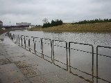 IMG_0233