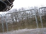 IMG_0236