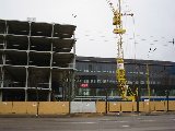 IMG_0303