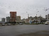 IMG_0313