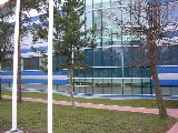IMG_0202