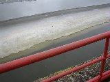 IMG_0208