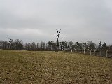 IMG_0219