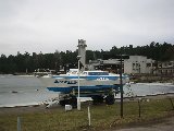 IMG_0230