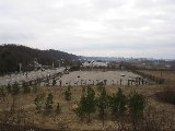 IMG_0250