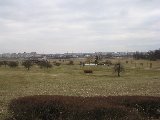 IMG_0260