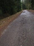 IMG_0213
