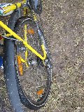 IMG_0228